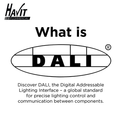 Uncovering the Extraordinary Benefits of DALI Lighting
