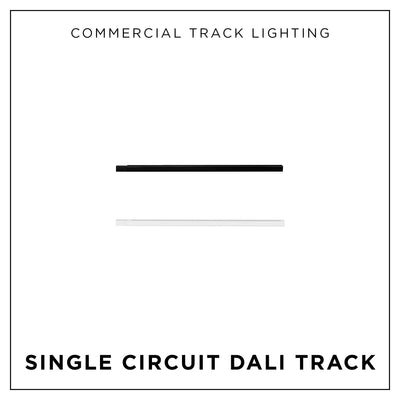 Single Circuit Dali Track