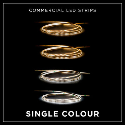 Single Colour