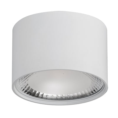 Surface Mounted Fixed Downlights