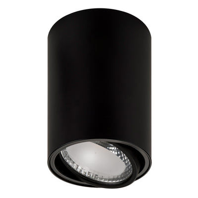 Surface Mounted Tilt Downlights