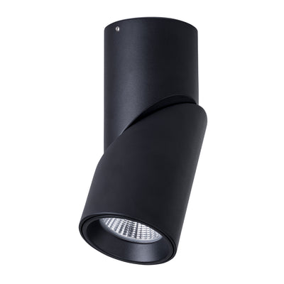 Surface Mounted Rotatable Downlights