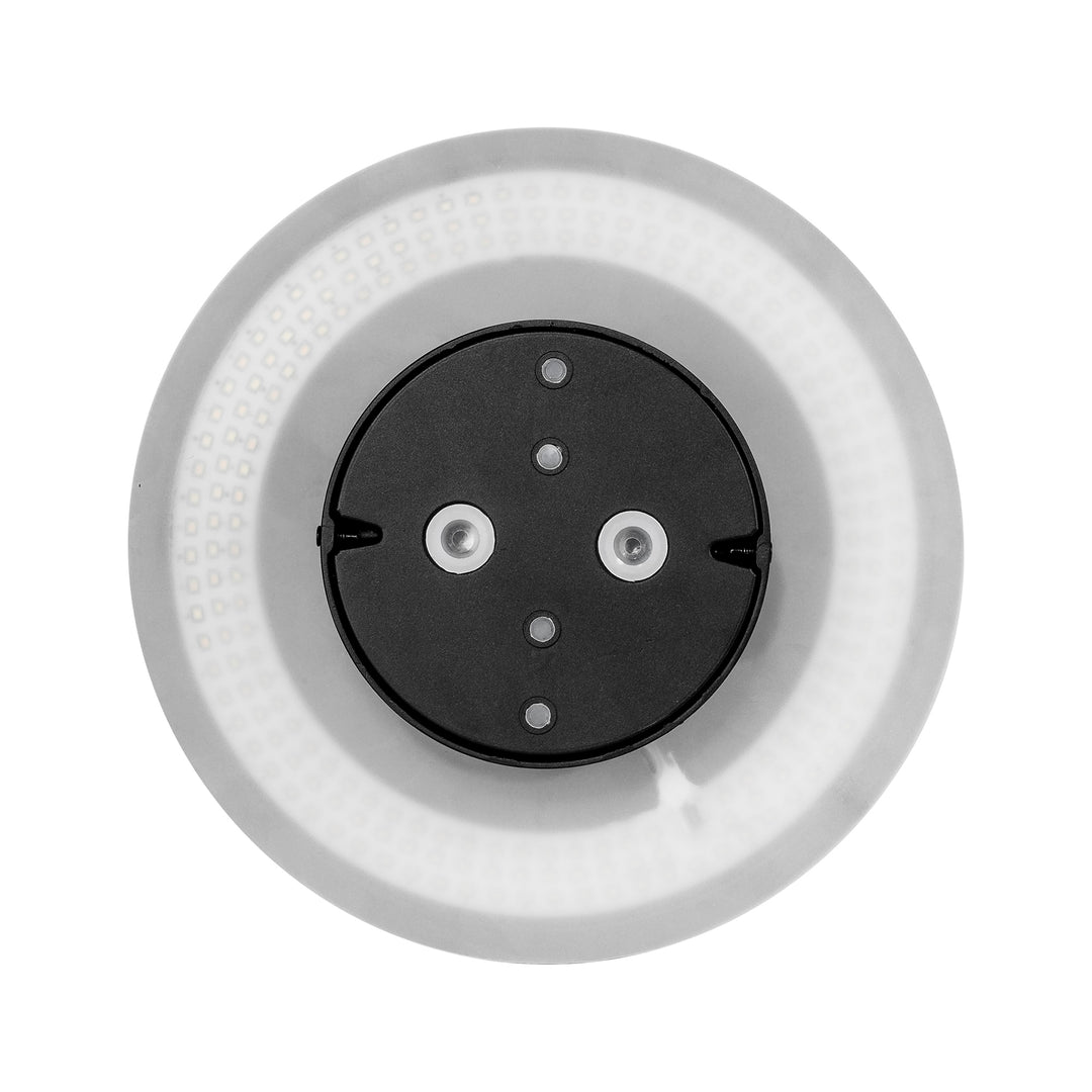 HCP-212189 - Halo Black Dali Dimmable LED Wall Light