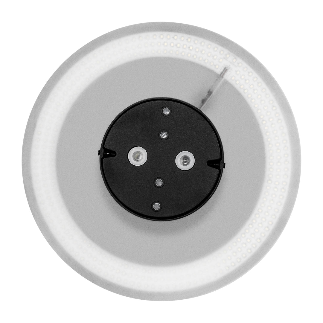 HCP-212249 - Halo Black Dali Dimmable LED Wall Light