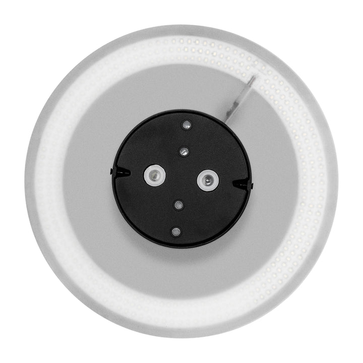 HCP-212249 - Halo Black Dali Dimmable LED Wall Light