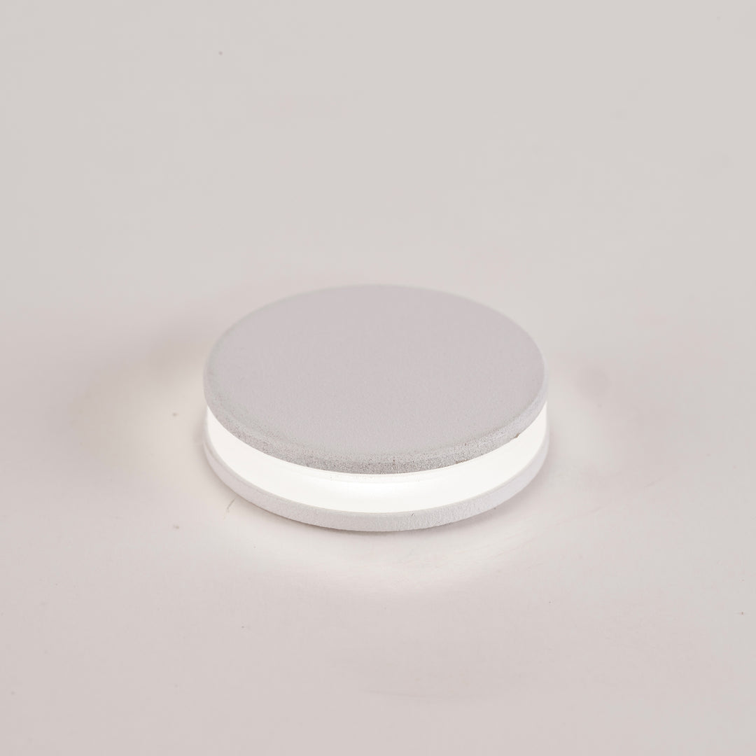 HCP-273207 - 1w 316 Stainless Steel White Mini Inground or Wall Light