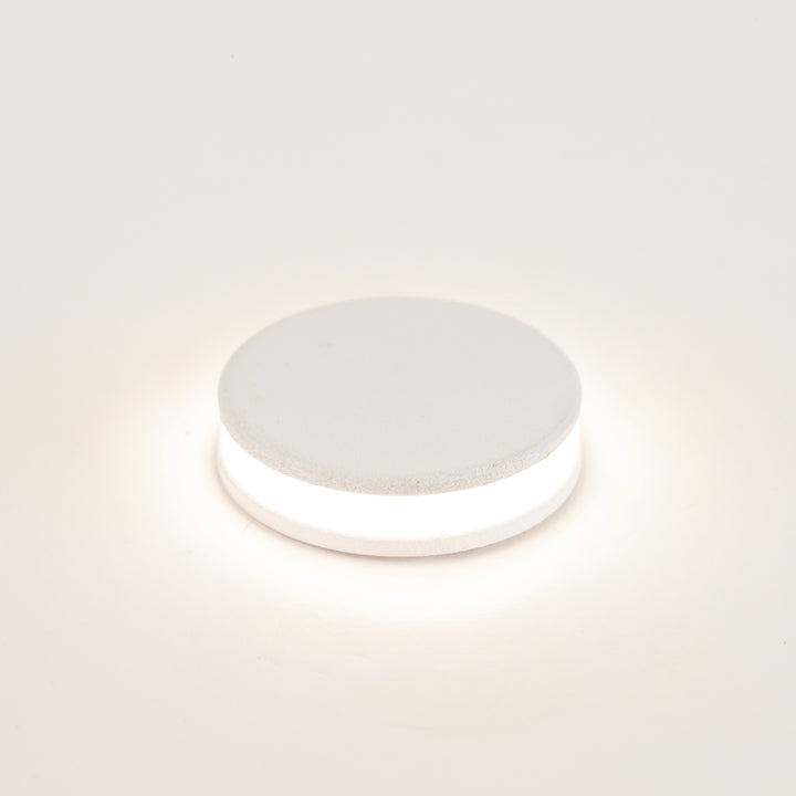 HCP-273207 - 1w 316 Stainless Steel White Mini Inground or Wall Light