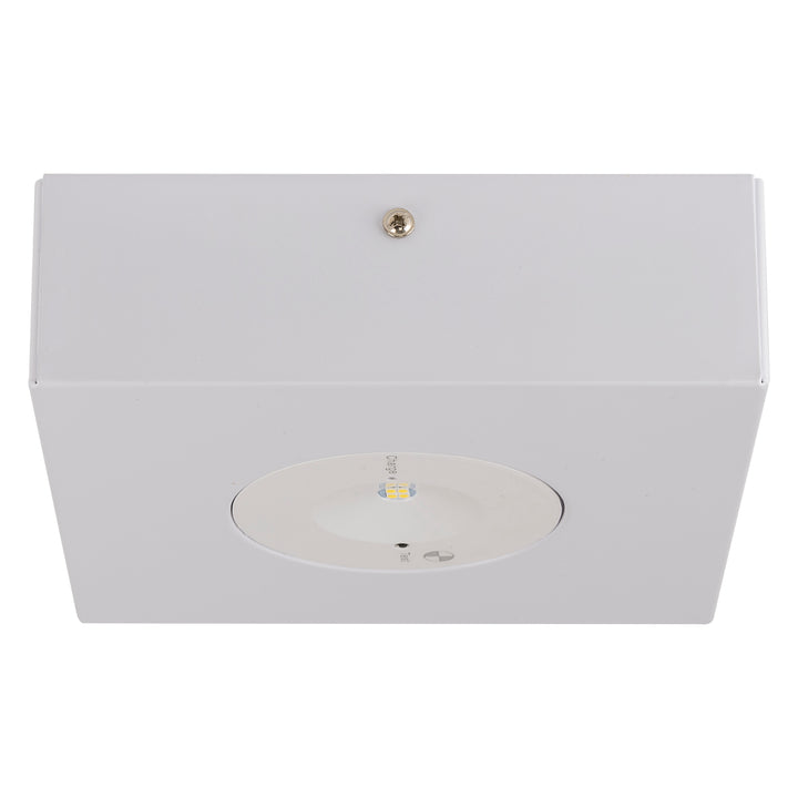 HCP-91302 - Surface Mounted 3w LED Spitfire
