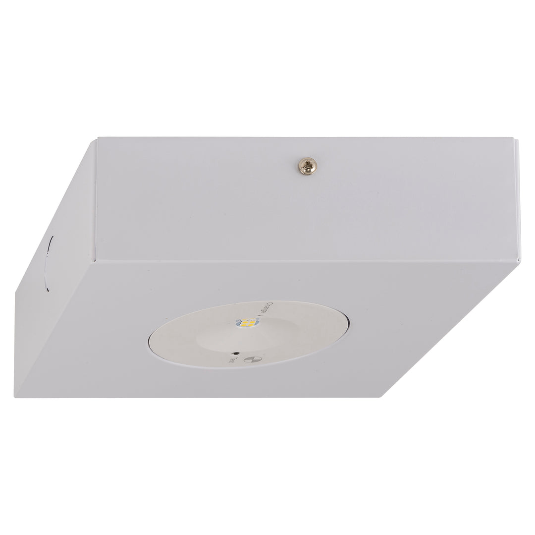 HCP-91302 - Surface Mounted 3w LED Spitfire
